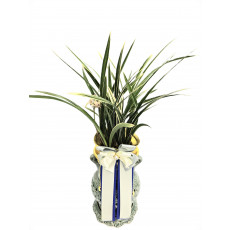 황룡금(투각분)