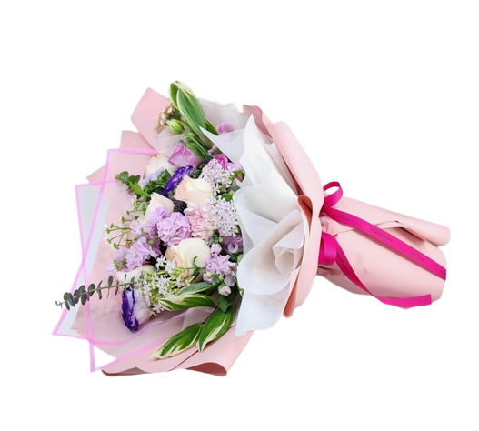 봄의나라 이야기