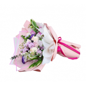 봄의나라 이야기