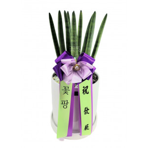 테이블용 스투키