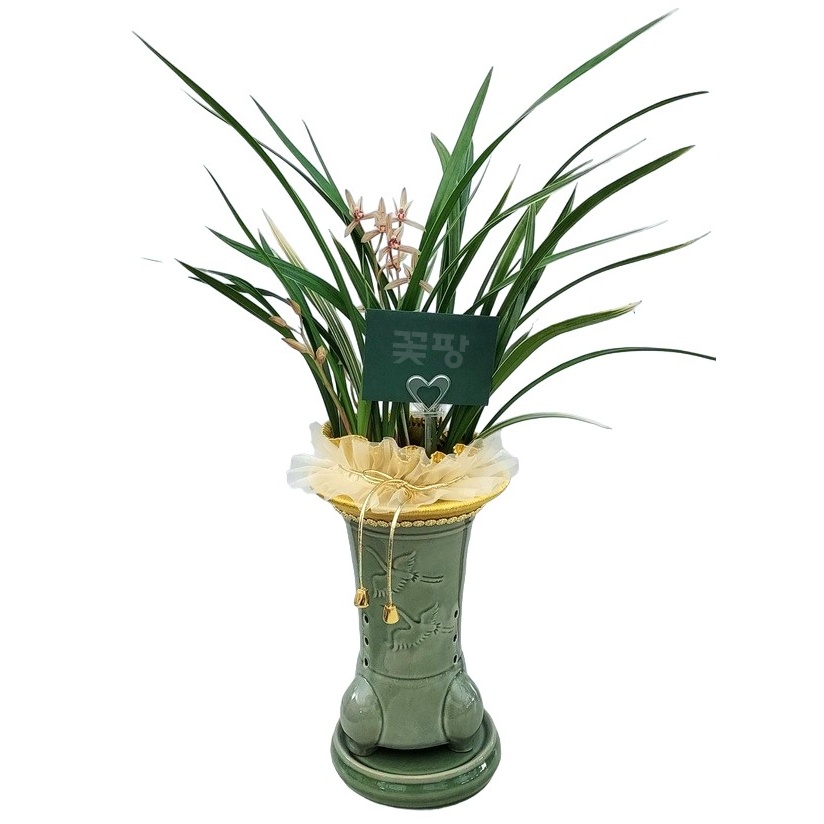 황룡금(청투각분)