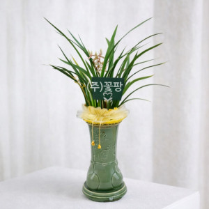 황룡금(청투각분)