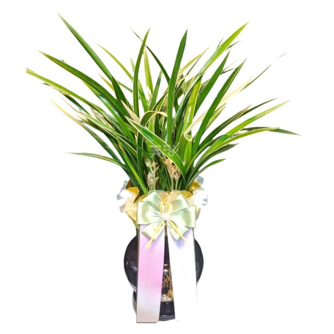 황룡금(검정투각)