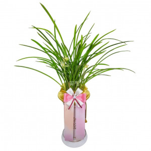 철골소심(일반분)A