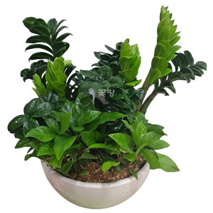 보석금전수혼합