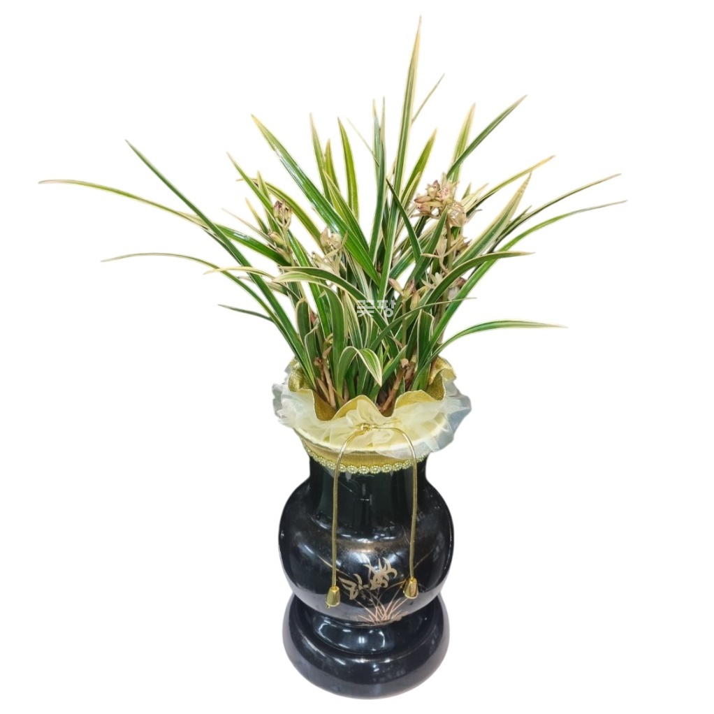 황룡금(검정투각)S