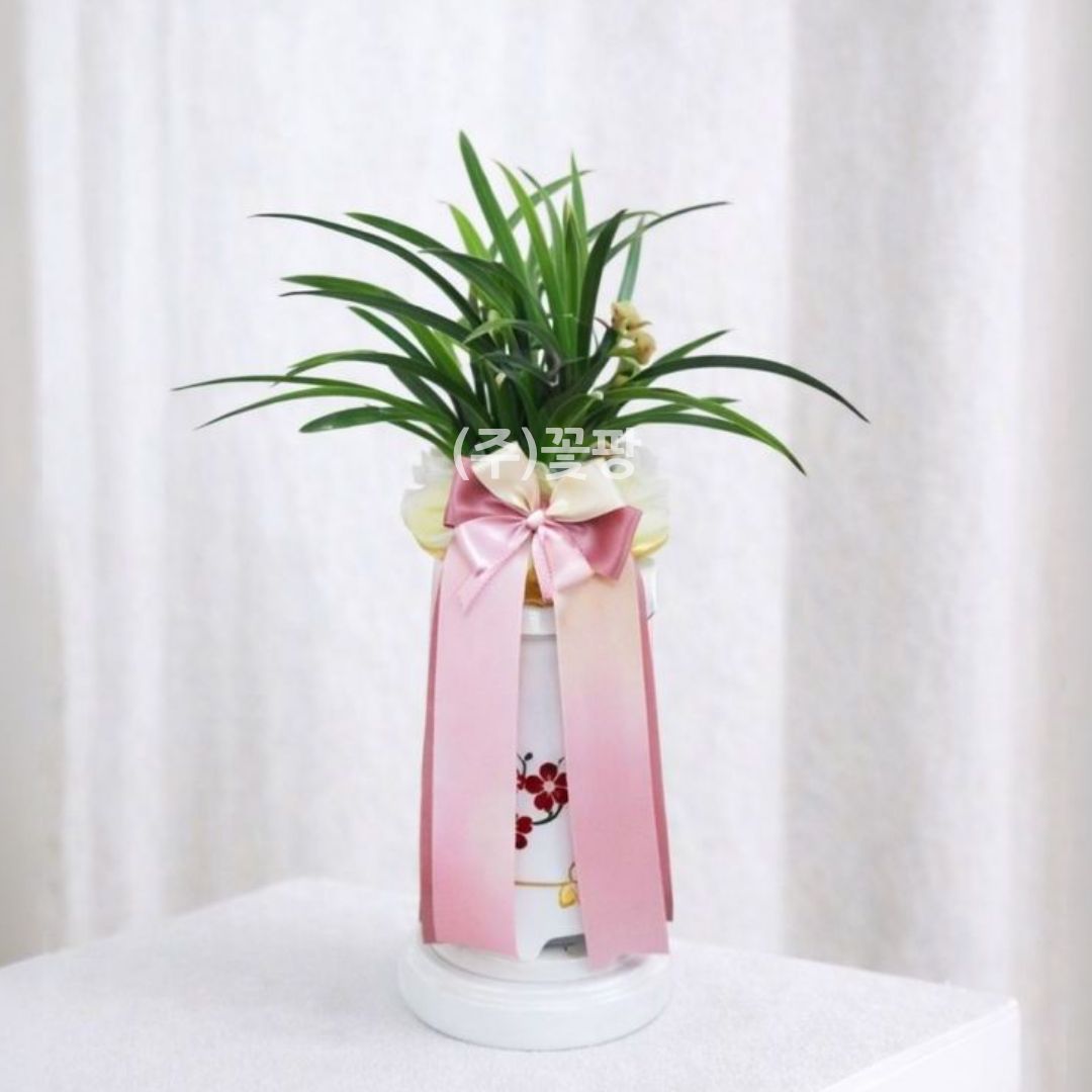 바인빈티지(일향금)